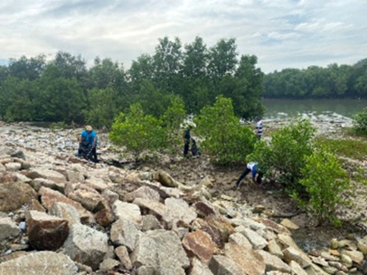 Mangrove Cleaning CSR Program at River Track, Phase 3A, Pulau Indah