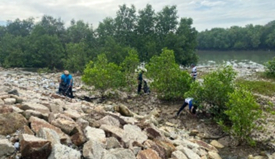 Mangrove Cleaning CSR Program at River Track, Phase 3A, Pulau Indah