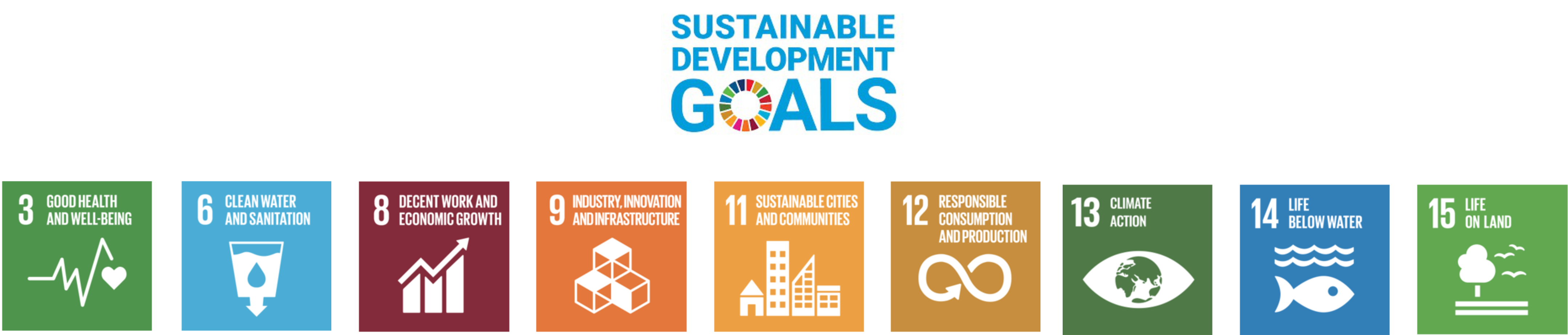 Sustainable Development Goals Overview Image